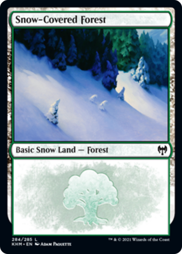 Snow-Covered Forest V1